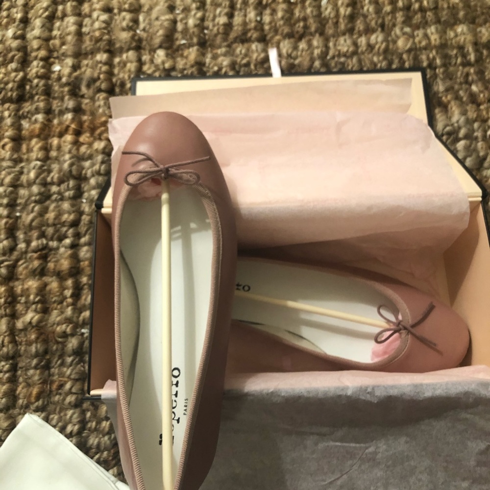 Repetto Cendrillon Ballerina Flats